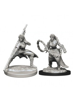 D&D Nolzur's Marvelous Miniatures: Human Monk Female